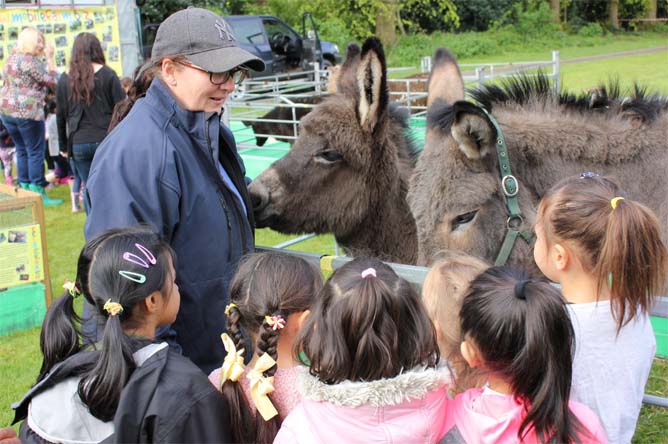 Fishers Mobile Farm mum & daughter donkeys